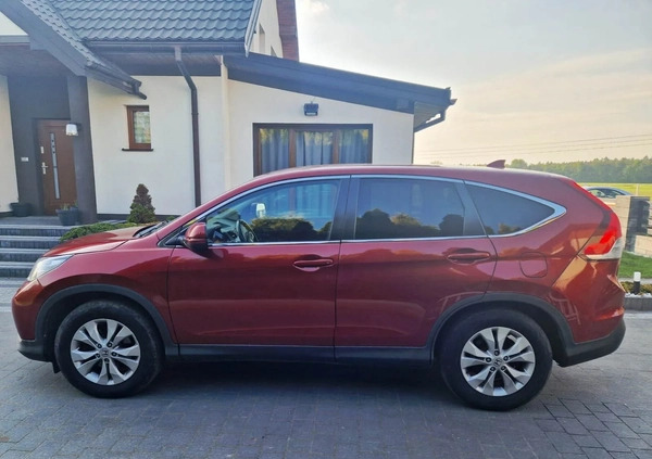 Honda CR-V cena 54000 przebieg: 187000, rok produkcji 2014 z Złoczew małe 137